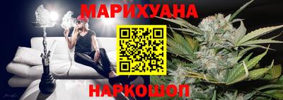 шишки Лесосибирск