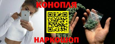шишки Лесосибирск
