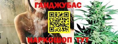 шишки Лесосибирск