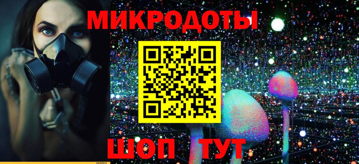 Псилоцибиновые грибы MAGIC MUSHROOMS Губкинский