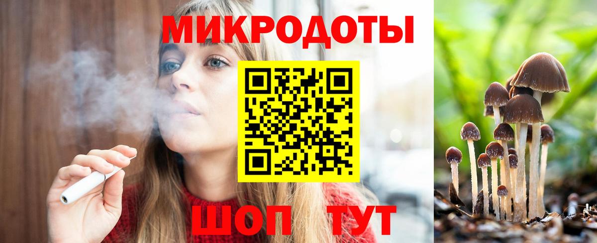 Губкинский  Галлюциногенные грибы прущие грибы  Псилоцибиновые грибы Psilocybe  Вход с VPN 